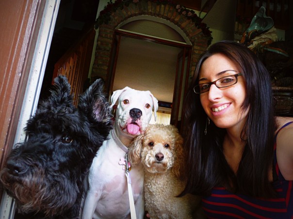 dogs-ashley dogs-ashley